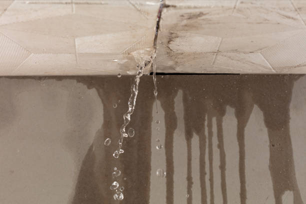 Professional Sewage Cleanup technician working in Laingsburg, MI